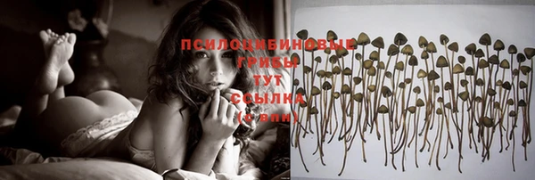 ешки Арсеньев
