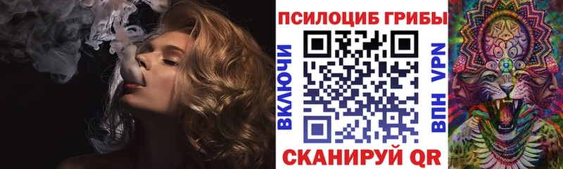 Галлюциногенные грибы Psilocybe  Купить где  Ялта 