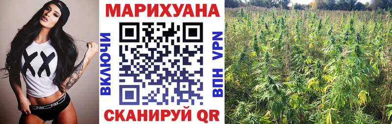 Марихуана OG Kush  Купить закладки  Ялта 